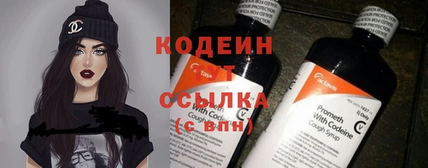 хмурый Нея