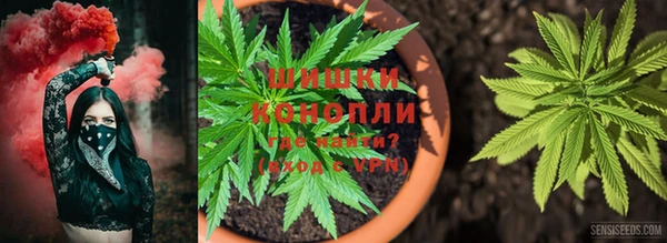 хмурый Нея
