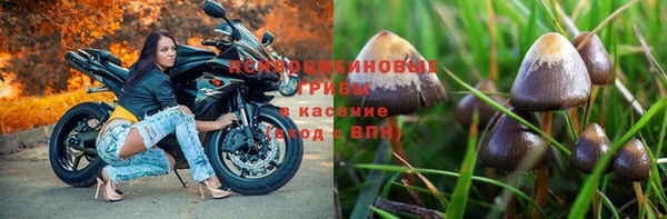 хмурый Нея