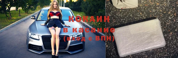 хмурый Нея
