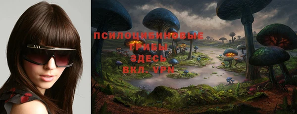альфа пвп Новозыбков
