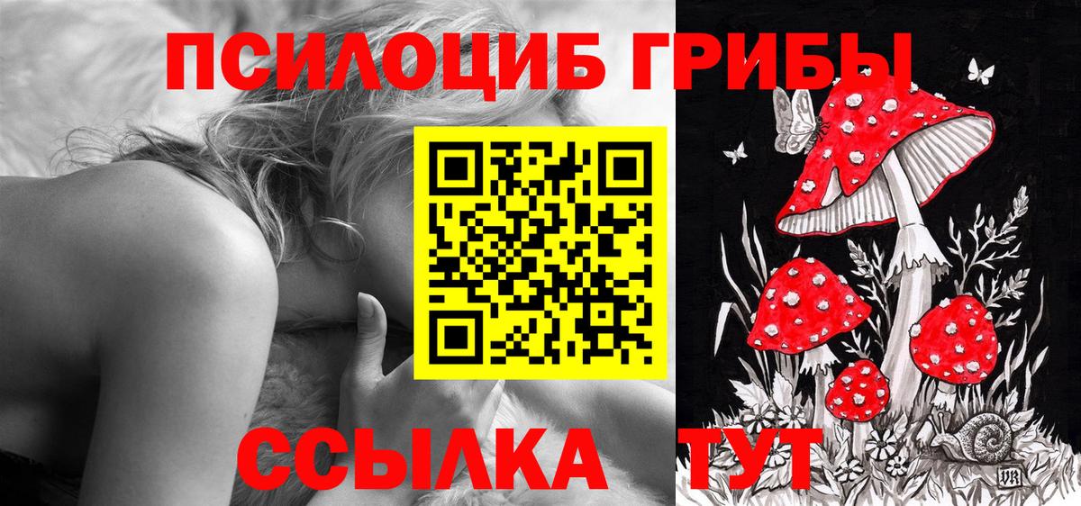 Галлюциногенные грибы GOLDEN TEACHER Кореновск
