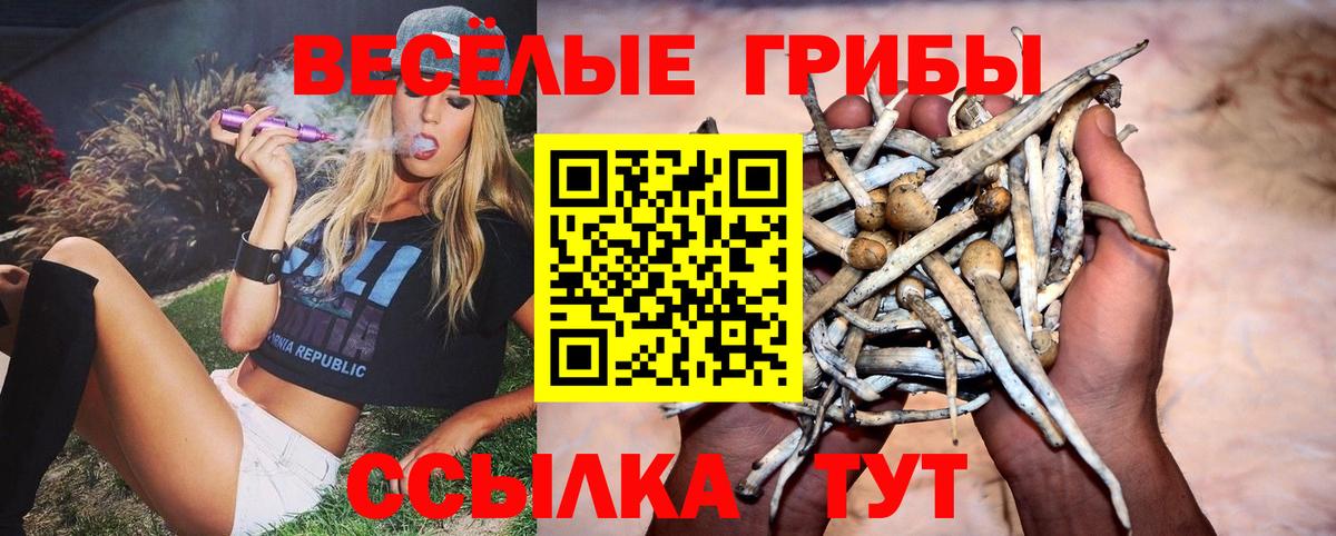 Кореновск  купить наркотик  Вход с VPN  Галлюциногенные грибы Psilocybe 