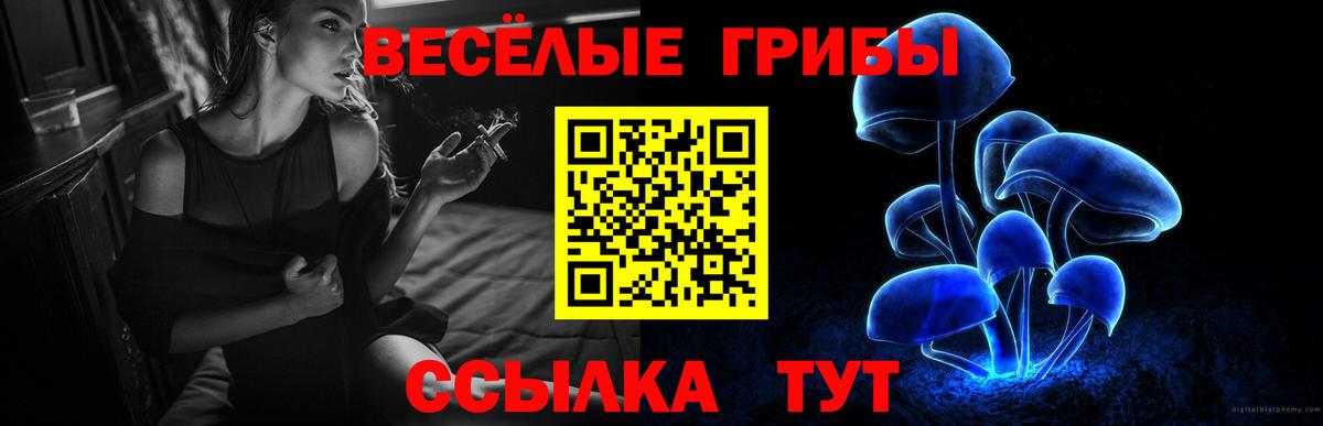 Псилоцибиновые грибы MAGIC MUSHROOMS  Кореновск 