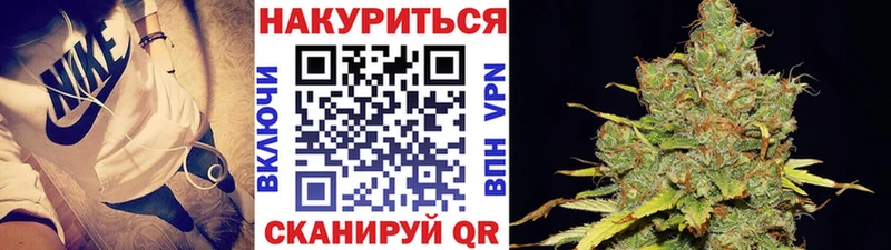 Конопля план Кореновск